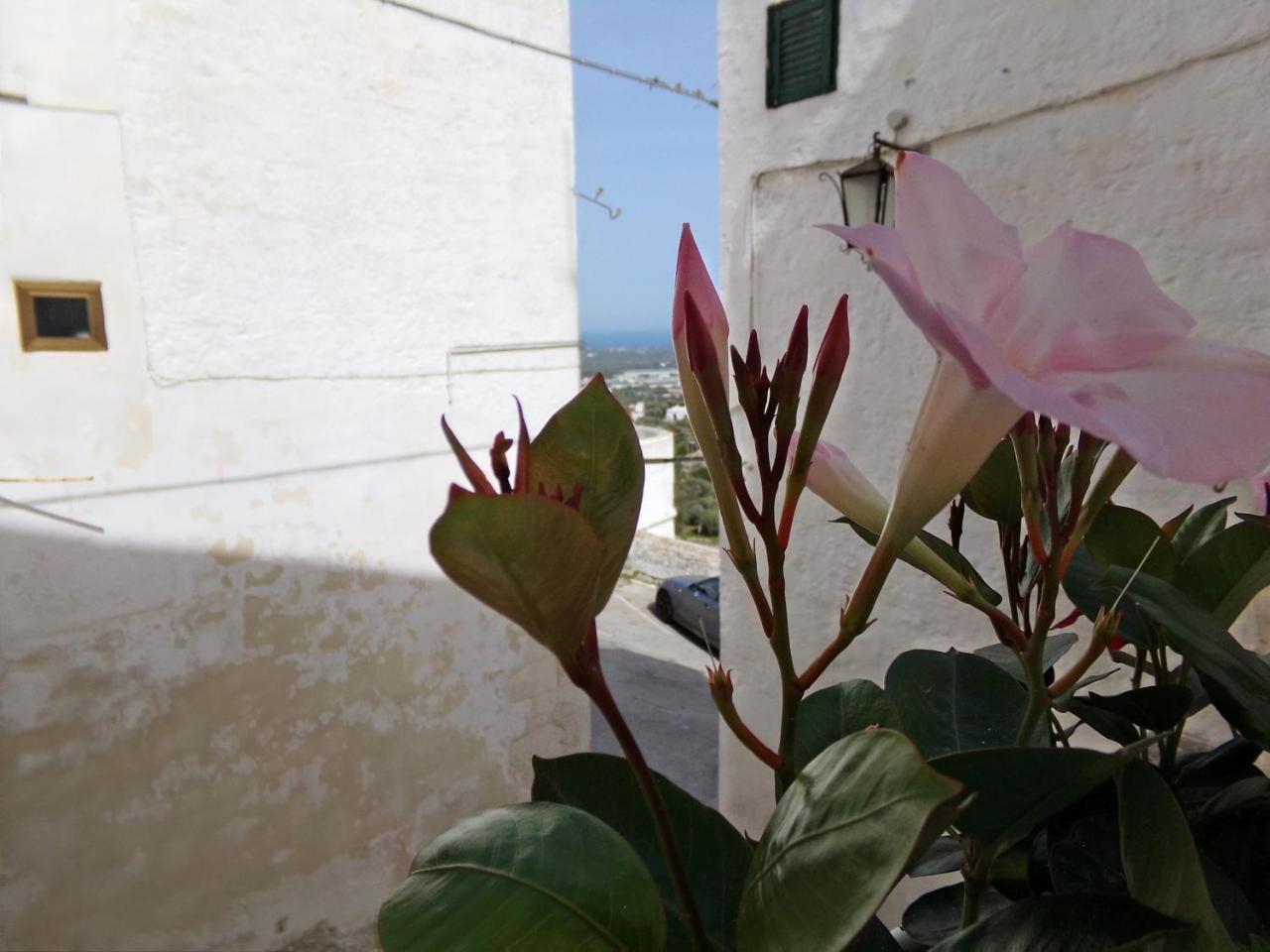 Willa Le Tre Volte Ostuni Zewnętrze zdjęcie
